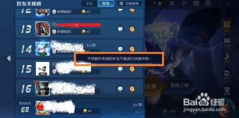 ns安卓系统玩王者,跨平台体验新篇章
