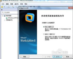 安卓怎么虚拟xp系统,安卓设备上轻松实现Windows XP虚拟运行全攻略