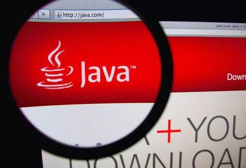 java系统与安卓版,技术融合与开发解析