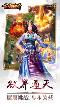 混沌西游(游戏托特权) 