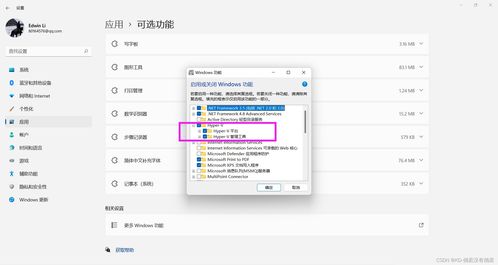 安卓子系统不能使用钉钉,探索钉钉替代方案新篇章