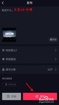 抖音安卓系统怎么发闪图,轻松打造个性动态效果