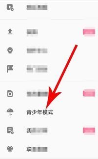 安卓系统设置青少年模式的app,探索安卓青少年模式下的专属应用生态