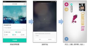 安卓的两套系统包括什么,原生与定制版系统全解析