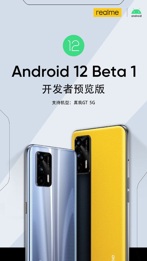 真我手机是用安卓系统吗,安卓系统下的性能与体验