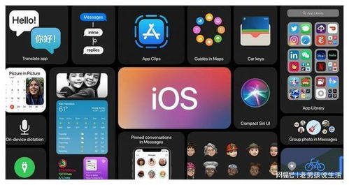 ipad能不能与安卓系统互通,跨越平台界限的全新体验