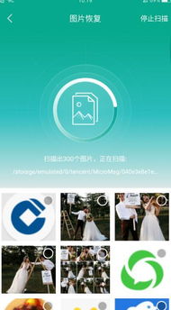 能恢复微信相片吗安卓系统,安卓系统下微信相片恢复攻略