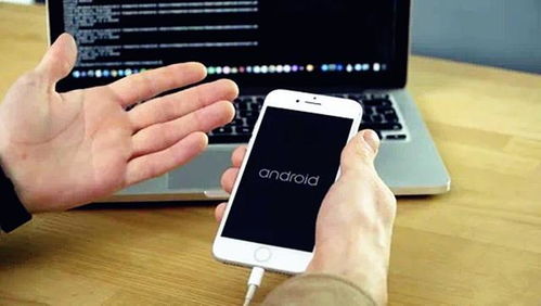 q10能刷安卓系统吗,安卓系统一键刷机指南
