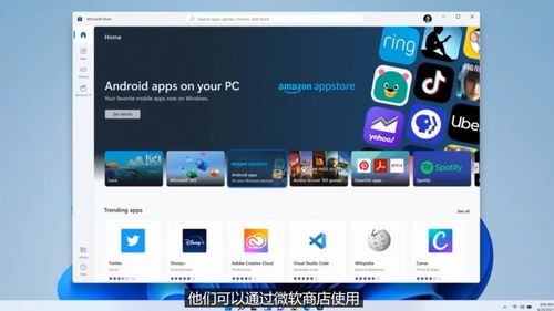 los操作系统安卓11能用吗,探索LOS操作系统的兼容性