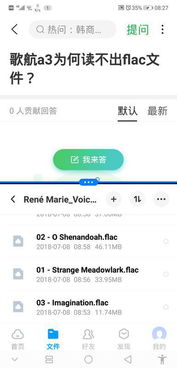 flac在安卓系统可以播放吗,FLAC音频文件播放全攻略