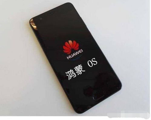手机能换华为系统吗安卓,安卓生态的华丽转身