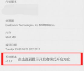 安卓系统开发者模式权限,权限管理与应用开发详解