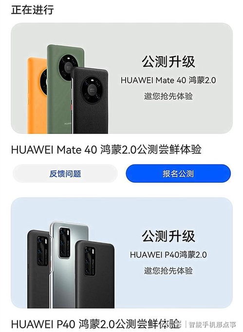 mate40还能用安卓系统吗,安卓系统兼容性解析与未来展望