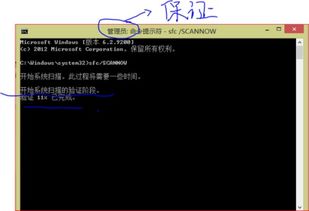 安卓系统字体显示不出来,安卓系统字体显示异常排查指南