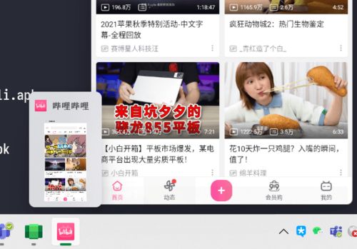 win11安卓系统连不上网,Win11安卓系统网络连接故障排查指南