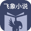 飞象小说 