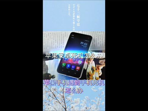 苹果电脑桌面做安卓系统,探索安卓系统上的全新桌面革命